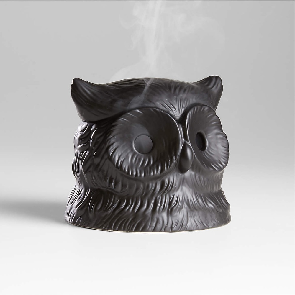Crate&Barrel X PATCH NYC Collaboration Whimsical Black Owl Incense Burner 🦉